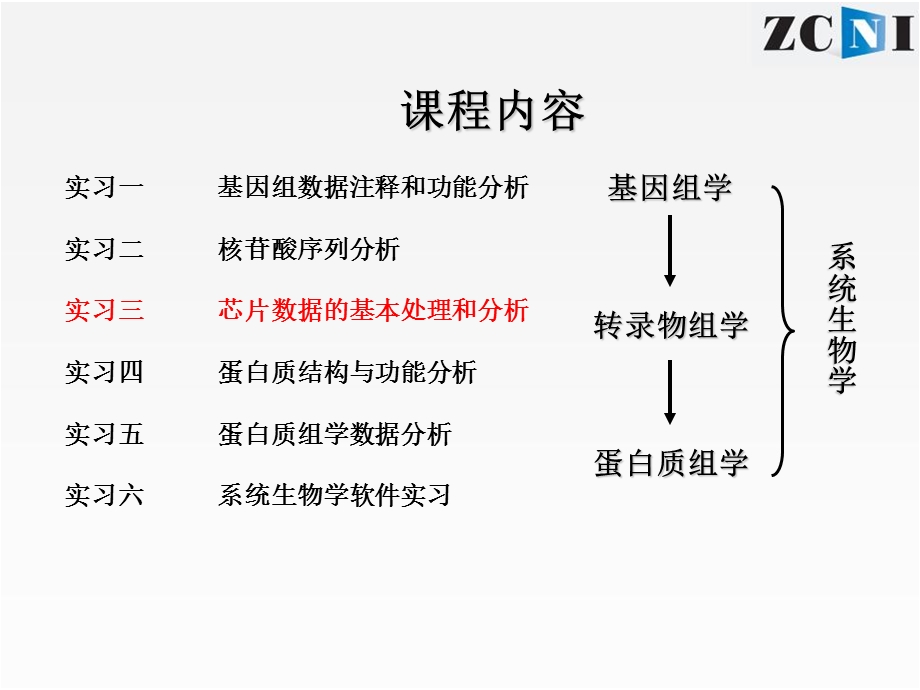 芯片数据的基本处理和分析课件.ppt_第2页