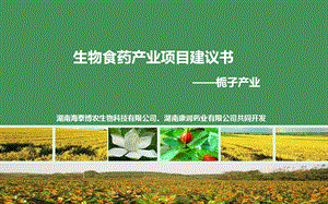 生物食药产业项目建议书（通用版） 栀子课件.ppt