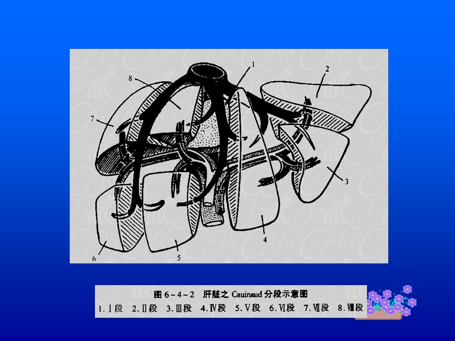 肝胆胰肿瘤进展2018课件.ppt_第3页