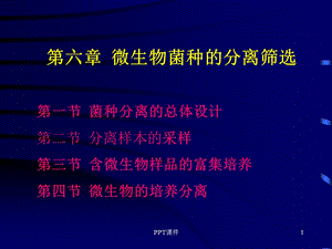 菌种分离筛选课件.ppt