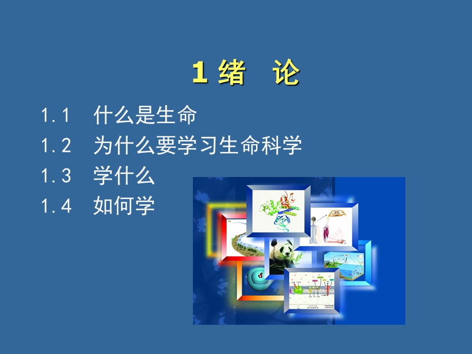 生物学基础01 绪论课件.ppt_第1页