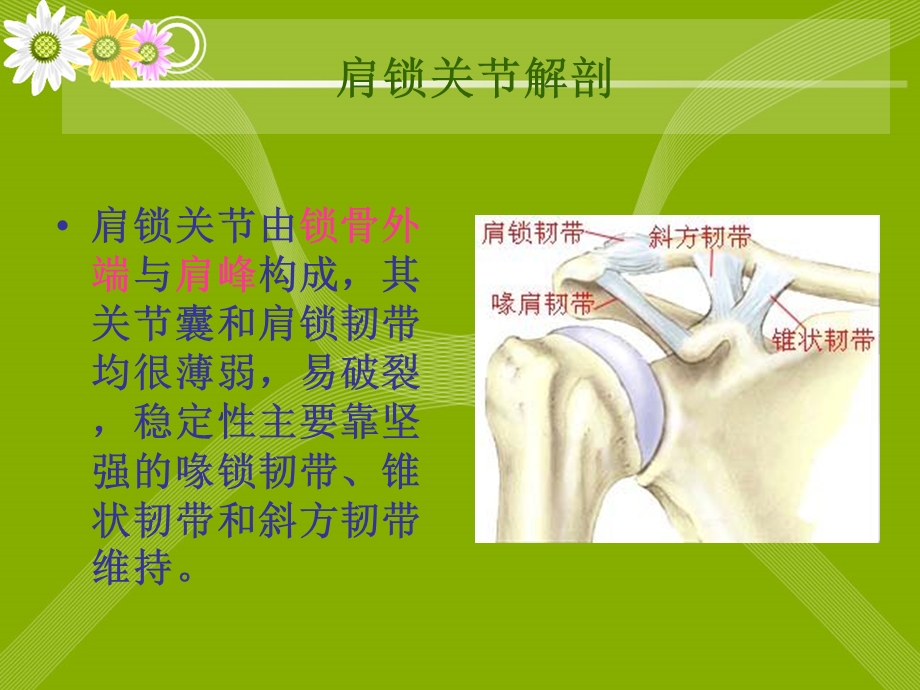 肩锁关节脱位患者的康复护理课件.ppt_第2页