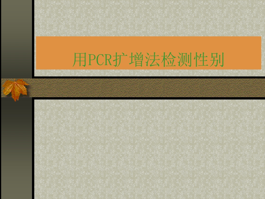 用PCR扩增法检测性别课件.ppt_第1页