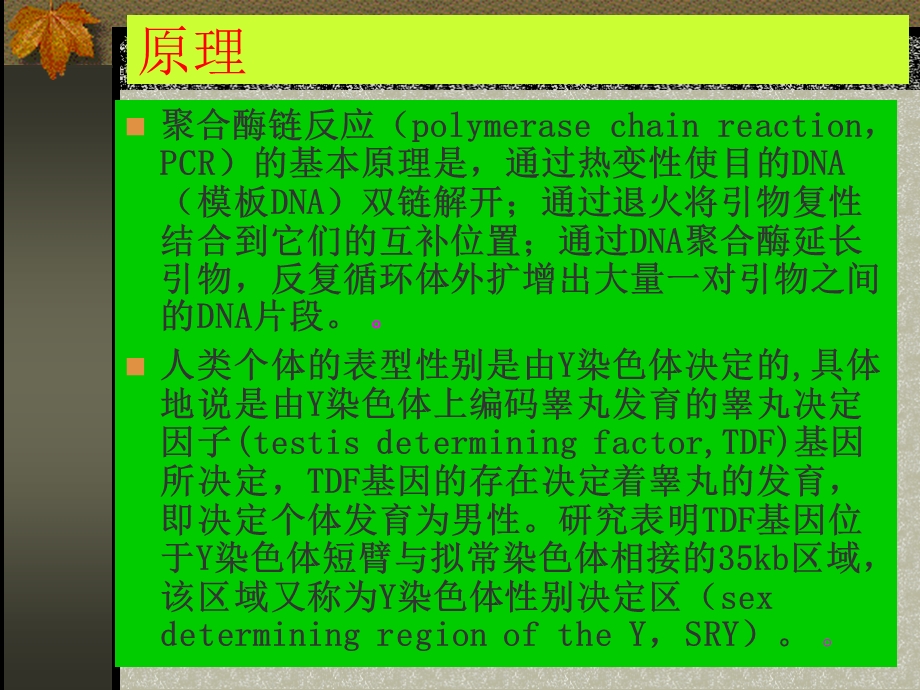 用PCR扩增法检测性别课件.ppt_第2页