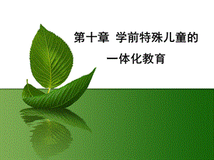 第十章学前特殊儿童的一体化教育课件.ppt