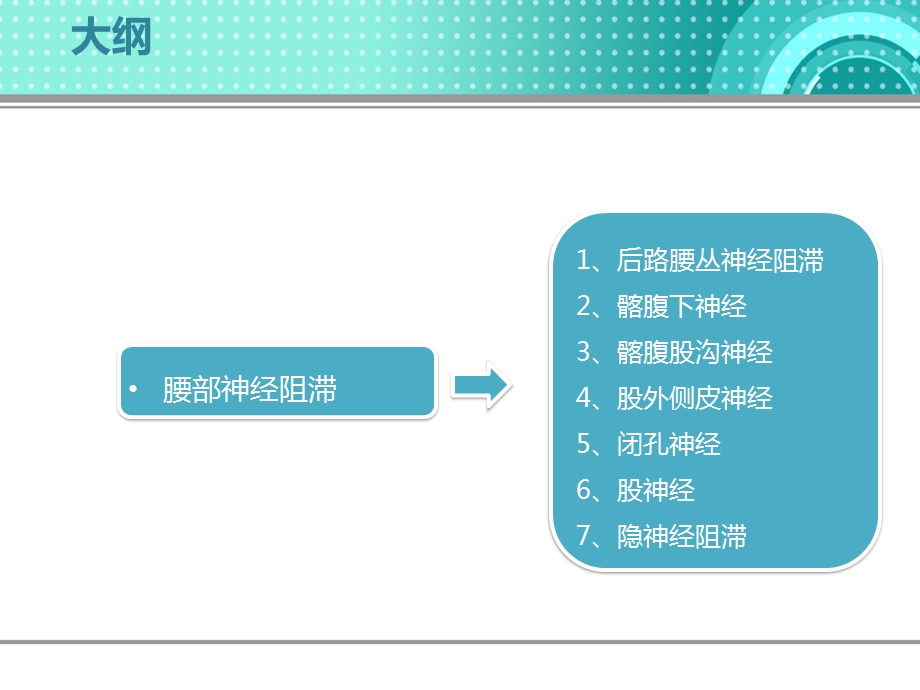 超声引导下腰丛神经阻滞课件.pptx_第2页