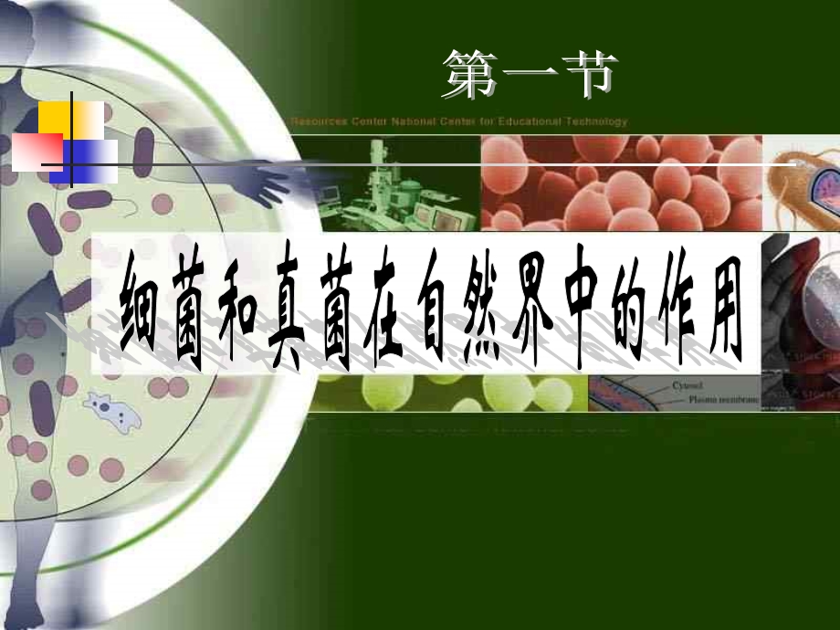 第四章第四节《细菌和真菌在自然界中的作用》ppt课件.ppt_第2页