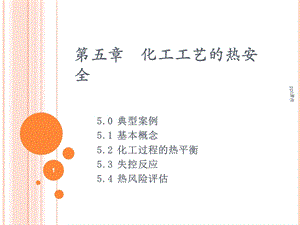 第五章化工工艺的热安全课件.ppt