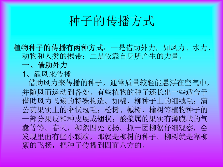 种子的传播方式课件.ppt_第1页