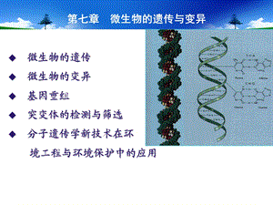 第七章微生物的遗传与变异课件.ppt