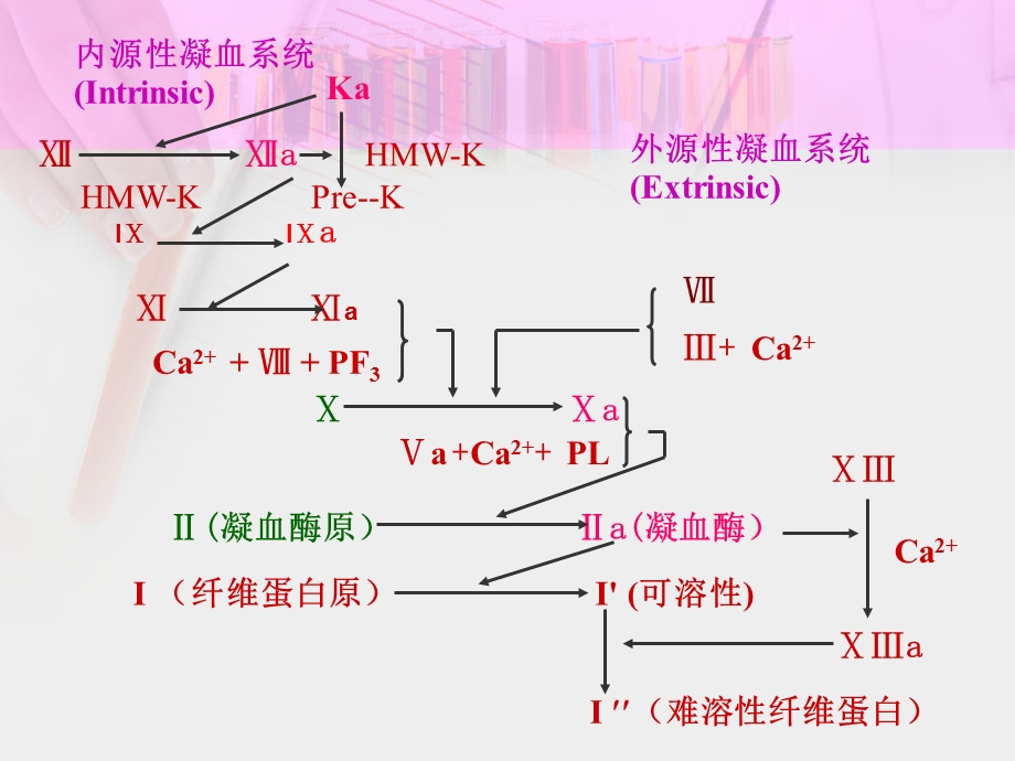 第23章作用于血液与造血系统药物课件.ppt_第3页