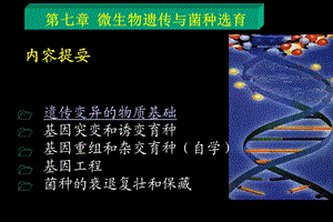 第7章 微生物遗传与菌种选育课件.ppt