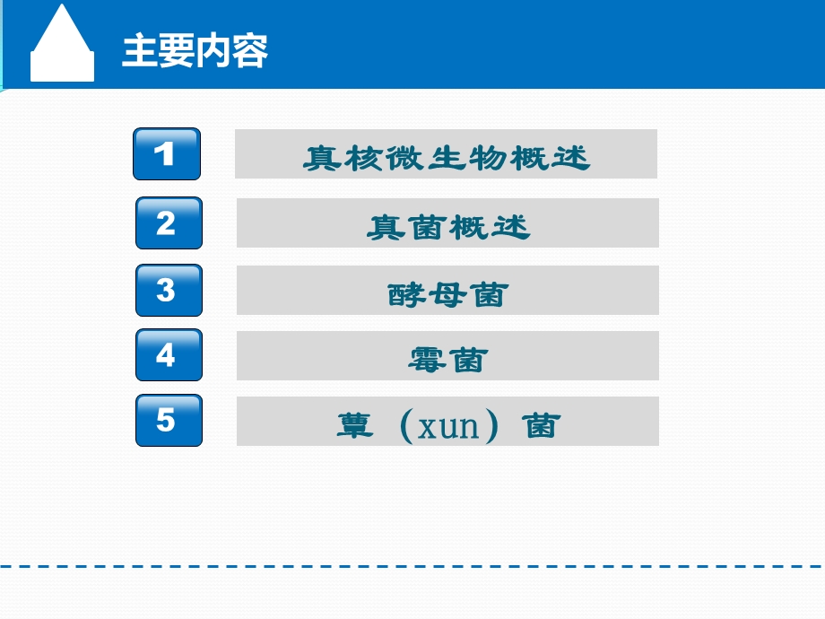 真核微生物ppt课件.pptx_第2页