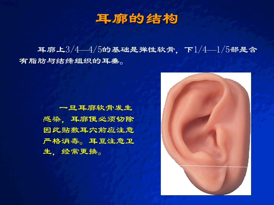 耳穴快速记忆法、定位法及各种操作方法课件.ppt_第2页