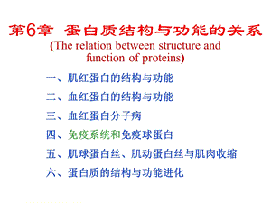 生物化学第6章蛋白质结构及功能关系课件.ppt