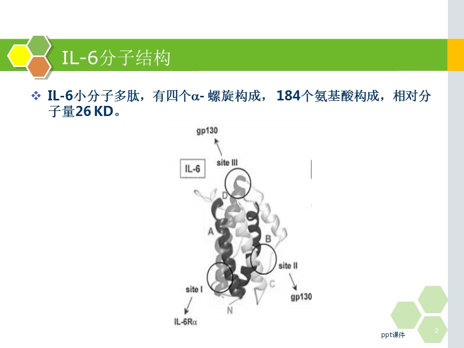 白细胞介素的在儿科应用的临床意义课件.ppt_第2页