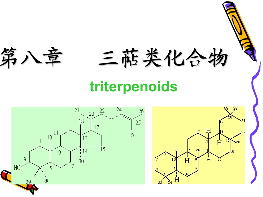 第八章三萜类化合物课件.ppt_第2页