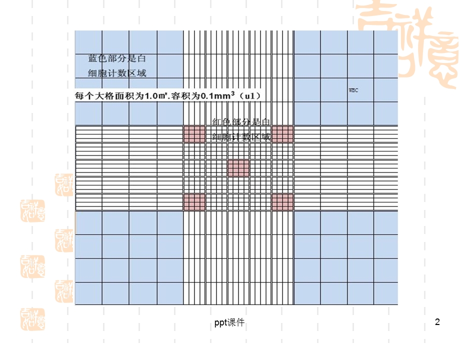 白细胞计数课件.ppt_第2页