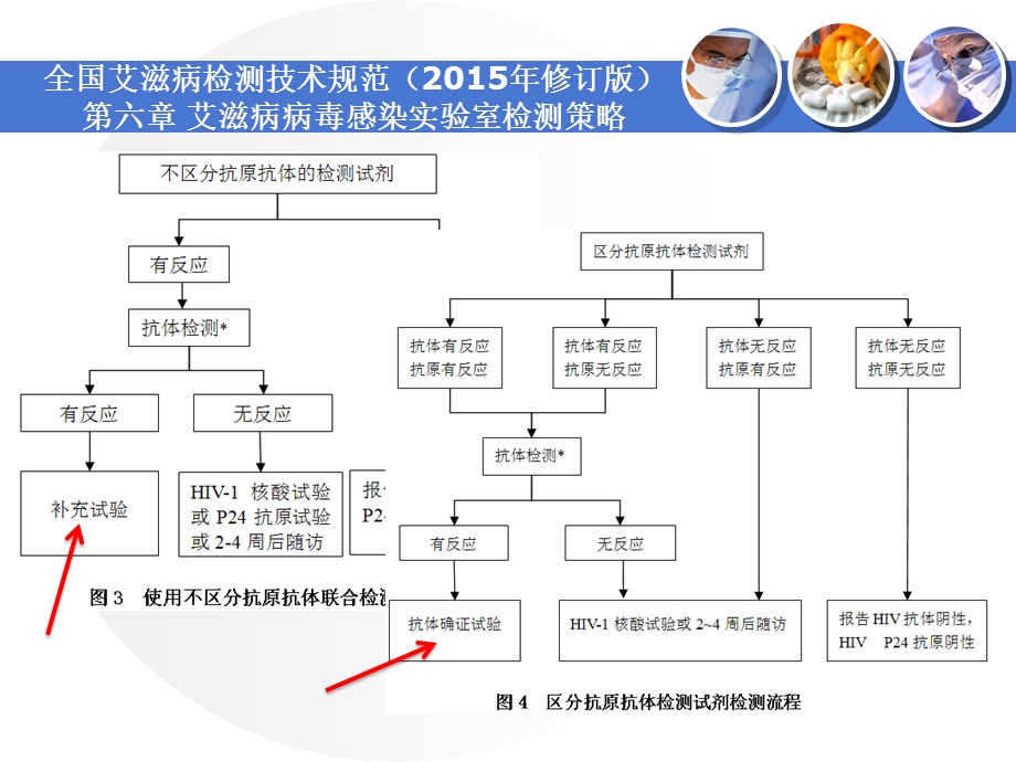 艾滋病抗体检测技术(免疫印迹法)及质量控制课件.ppt_第3页