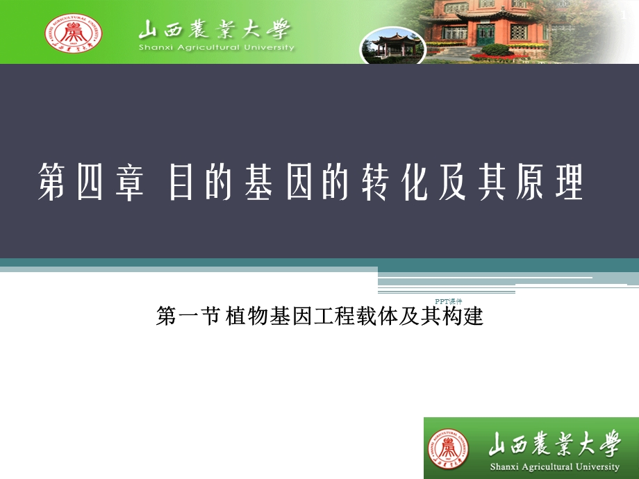 第四章 目的基因的转化及其原理课件.ppt_第1页