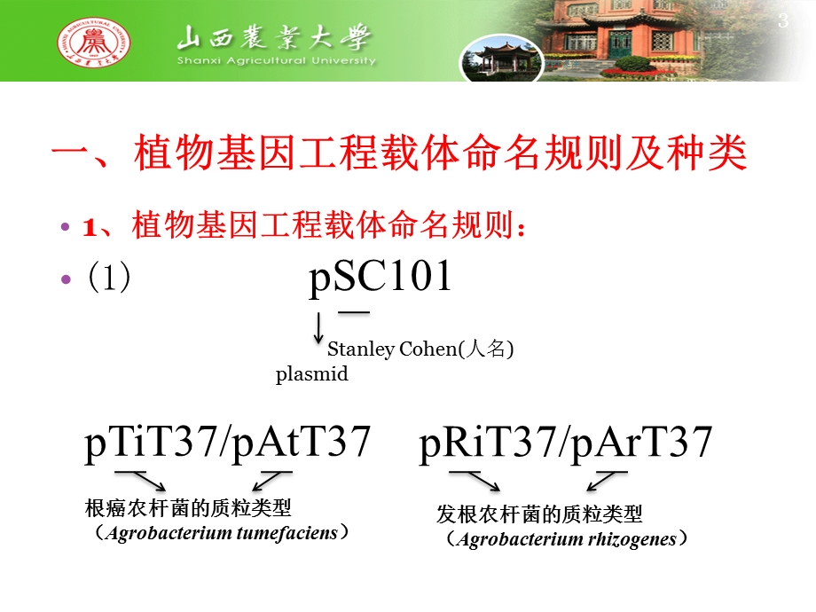 第四章 目的基因的转化及其原理课件.ppt_第3页