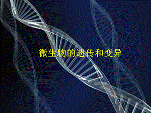 第11章 微生物的遗传与变异课件.ppt