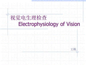 视觉电生理课件.ppt