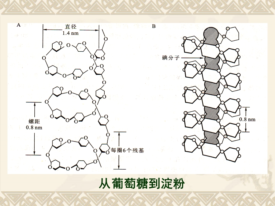 第1章 分子生物学导论课件.ppt_第3页