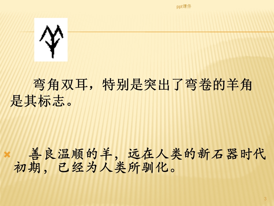 甲骨文汉字与动物课件.ppt_第3页