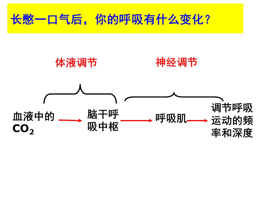 第一轮复习2014体液调节ppt课件.ppt_第1页