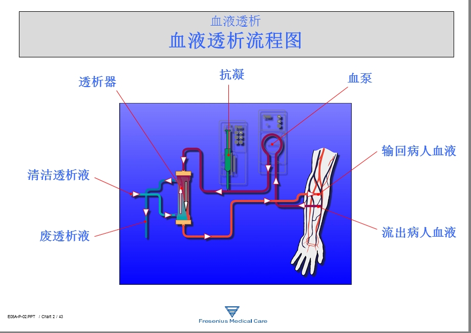 费森尤斯透析器知识讲义课件.ppt_第2页