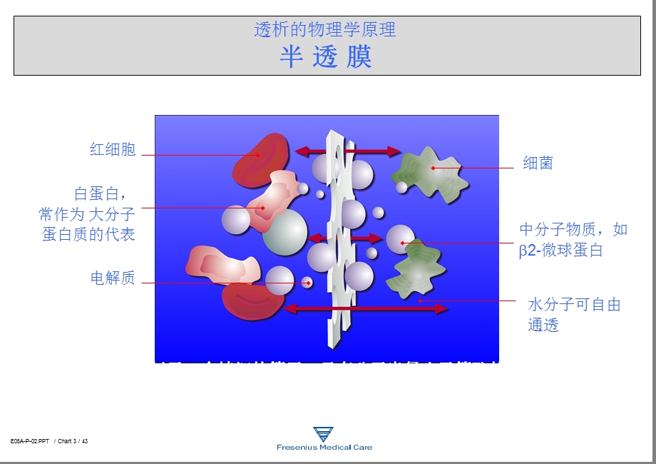 费森尤斯透析器知识讲义课件.ppt_第3页