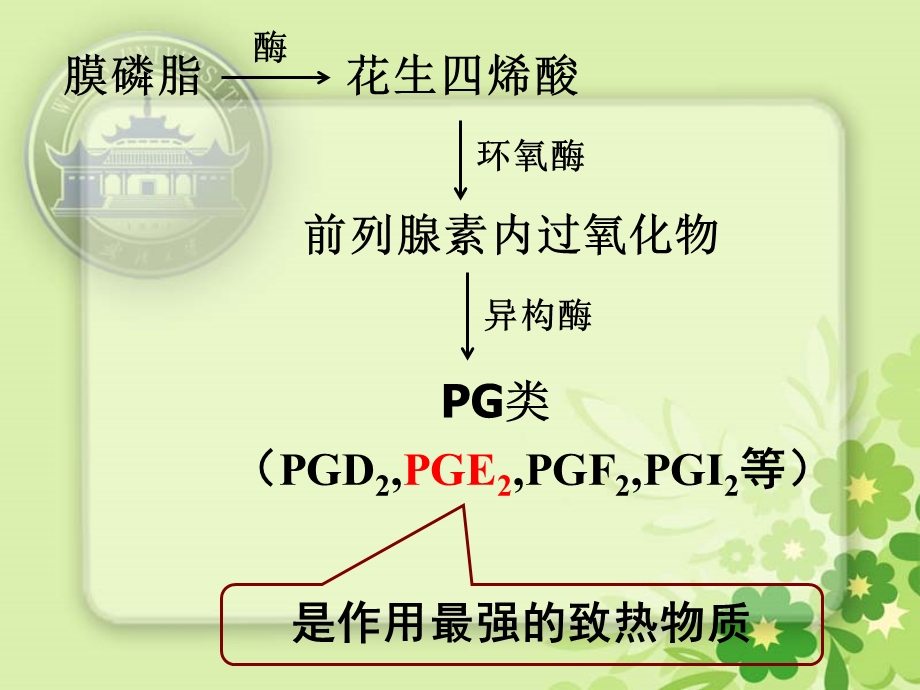 第六章解热镇痛药和非甾体抗炎药课件.ppt_第3页