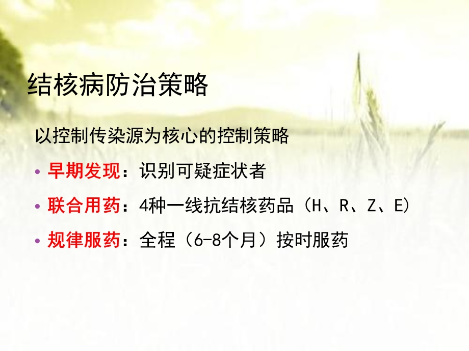 结核病健康管理规范课件.ppt_第2页