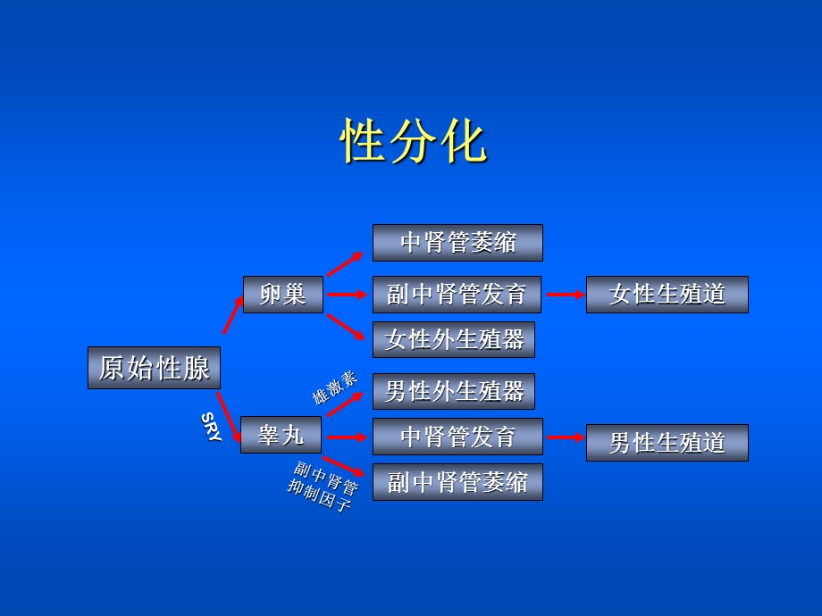 第23章大学妇产科教材课件.ppt_第3页