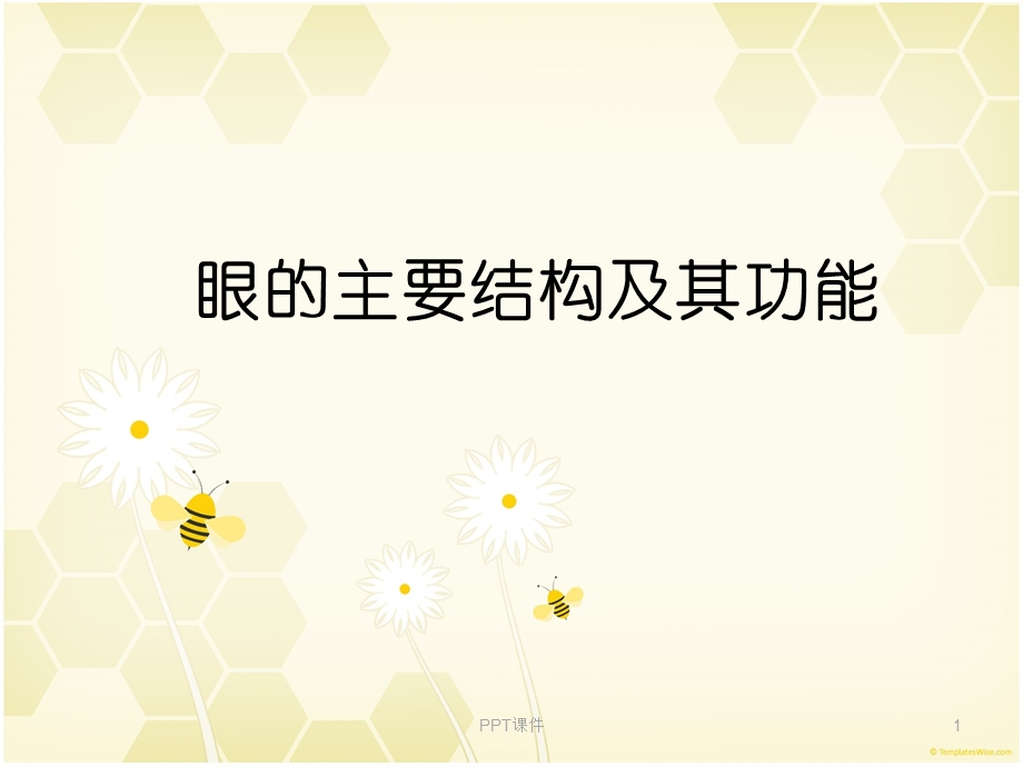 眼的主要结构及其功能课件.ppt_第1页