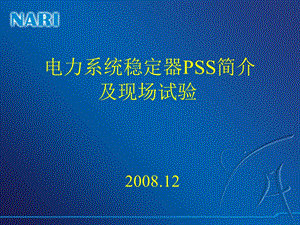 电力系统稳定器PSS简介及现场试验课件.ppt