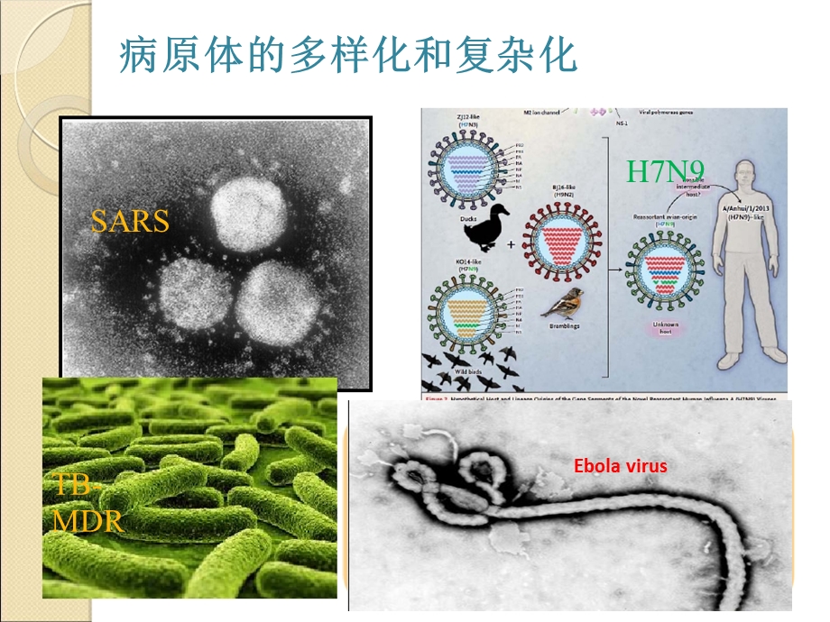 细菌耐药监测在临床诊断中的作用课件.ppt_第3页