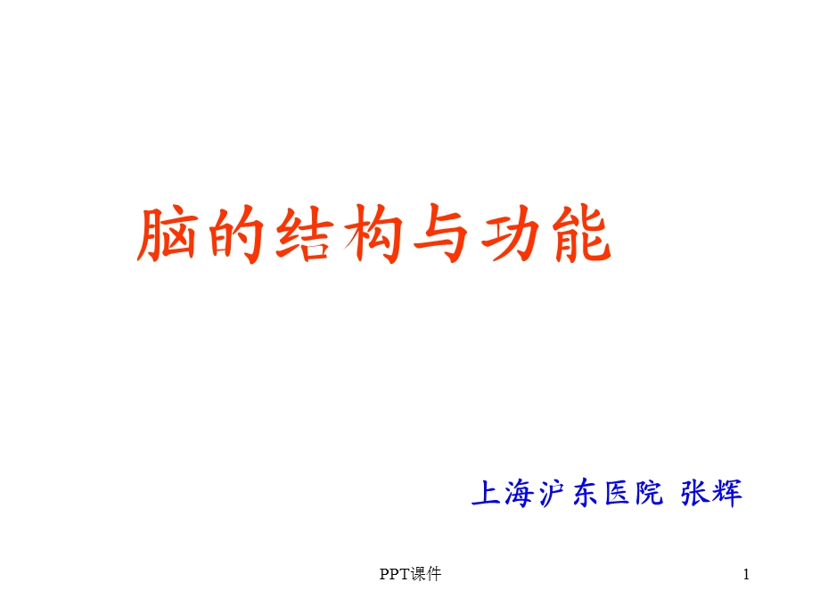 脑结构与功能课件.ppt_第1页