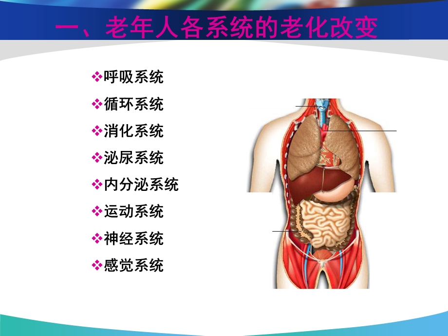 老年常见健康问题课件.ppt_第2页