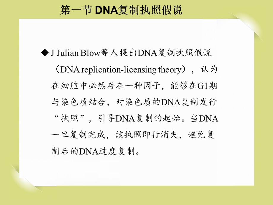 真核生物DNA复制和起始调控课件.ppt_第3页