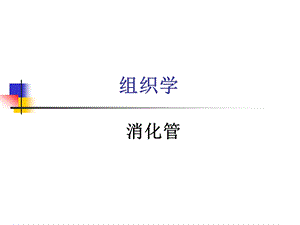 组织胚胎学第14章消化管课件.ppt