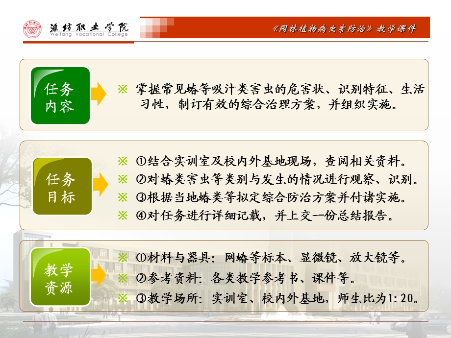 网蝽类的综合防治课件.ppt_第3页