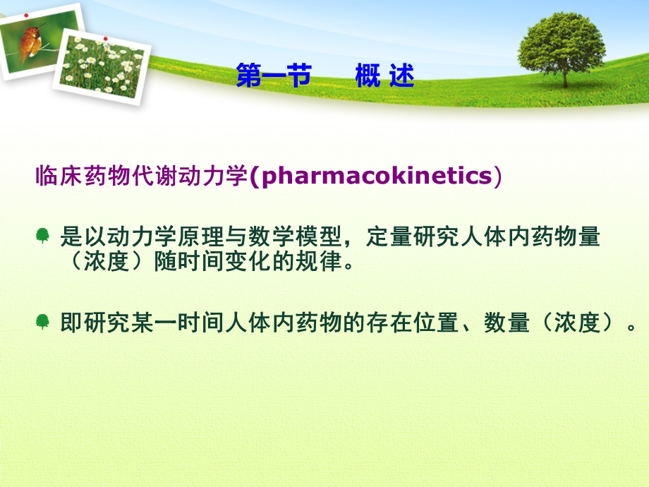 第二章临床药代动力学课件.ppt_第2页