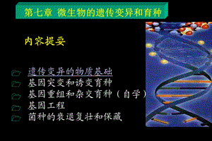 第7章 微生物遗传与菌种选育（新）课件.ppt