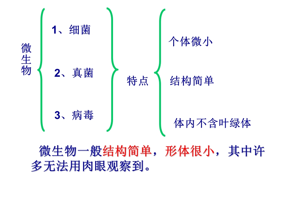 苏教版八年级上册第十四章第三节神奇的微生物课件.ppt_第2页