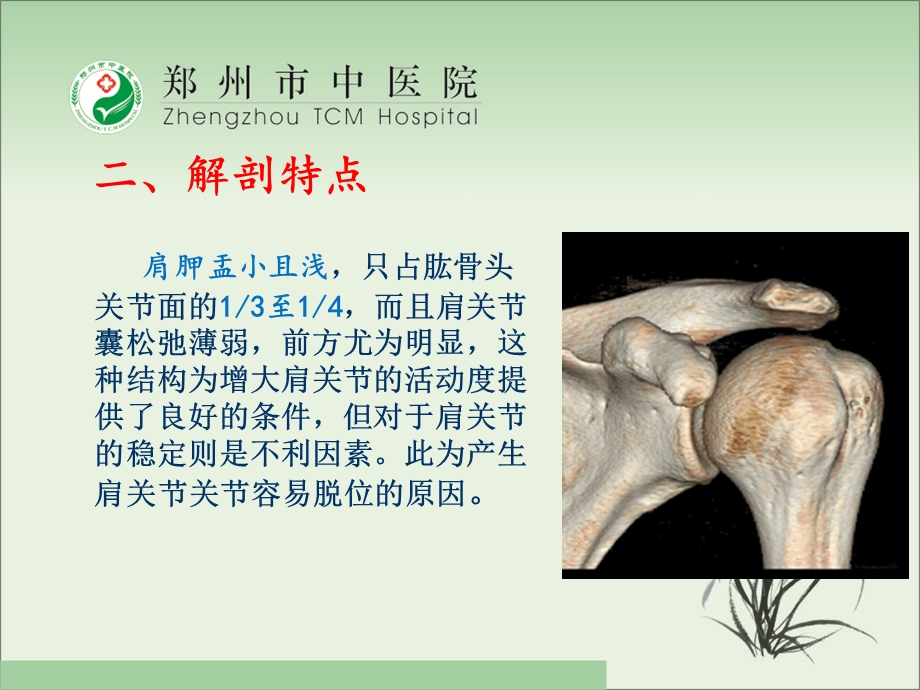 肩关节脱位(骨伤科)课件.ppt_第3页