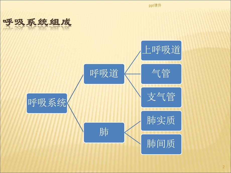 肺功能检查操作及基础知识课件.ppt_第2页