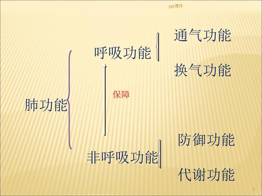 肺功能检查操作及基础知识课件.ppt_第3页