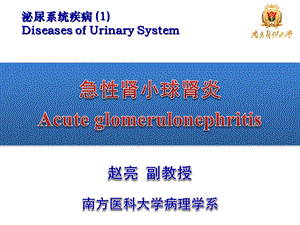 病理泌尿系统疾病1 肾小球肾炎课件.ppt